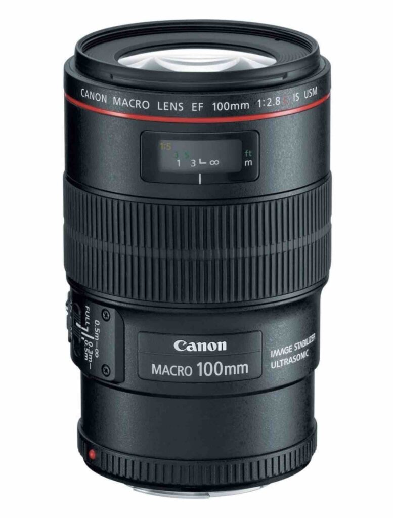 canon 100mm ef macro lens