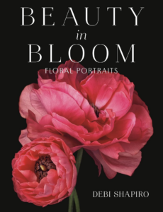 Beauty in Bloom by Debi Shapiro